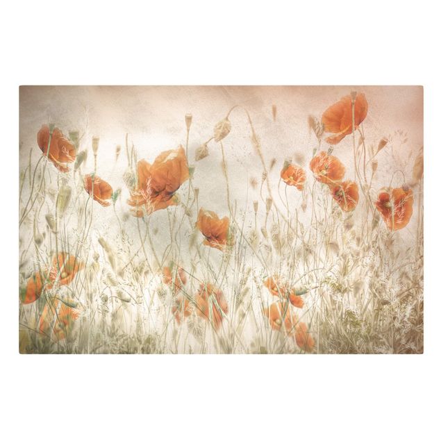 Telas decorativas flores Poppy Flowers And Grasses In A Field