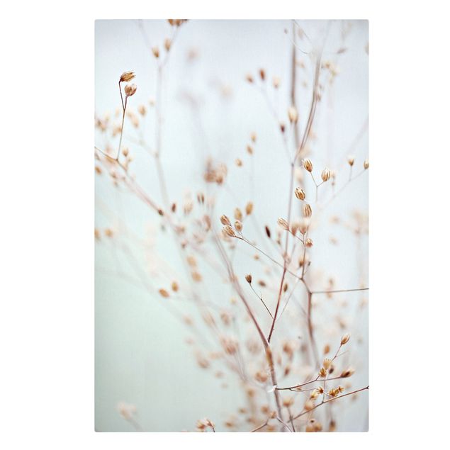quadros de flores Pastel Buds On Wild Flower Twig