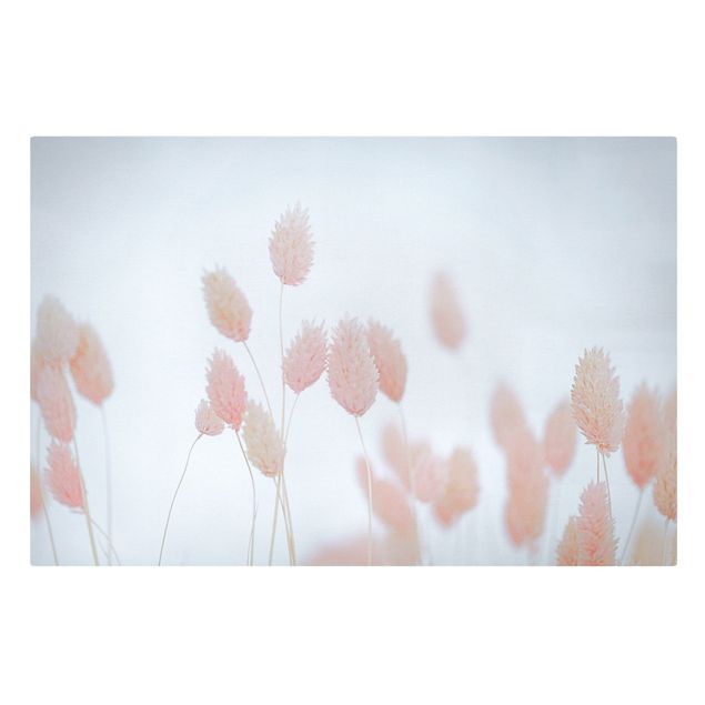 quadros de flores Grass Tips In Pale Pink