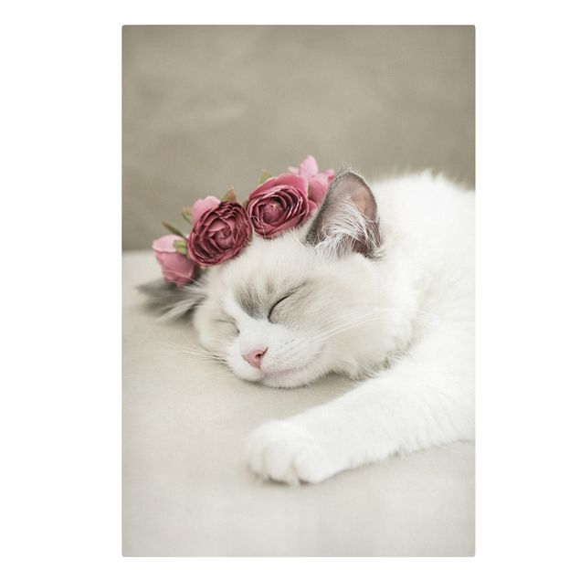 Telas decorativas flores Sleeping Cat with Roses