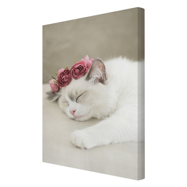 Quadros florais Sleeping Cat with Roses
