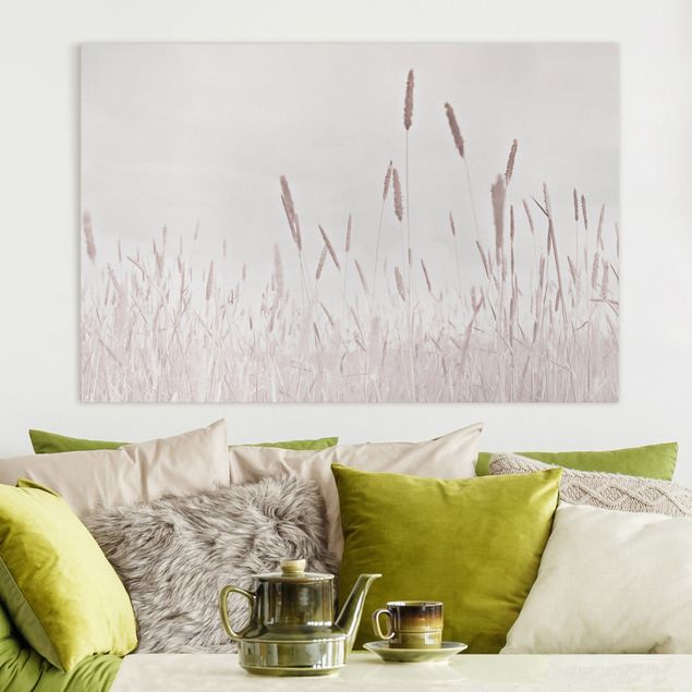 Telas decorativas gramíneas Summerly Reed Grass