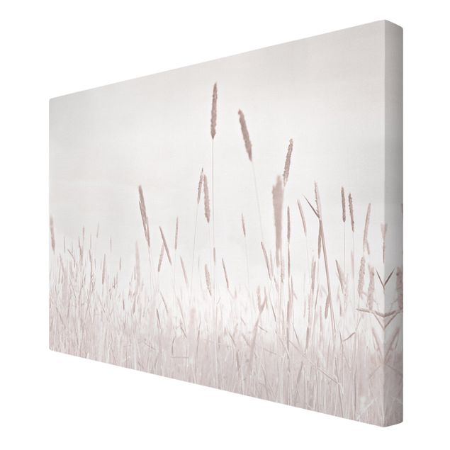 quadros para parede Summerly Reed Grass