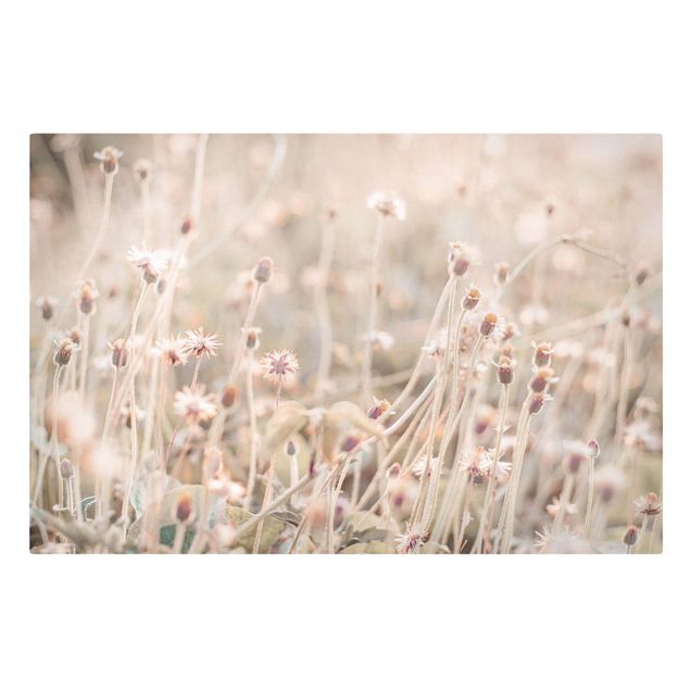 quadro com flores Flowering Meadow In the Sun