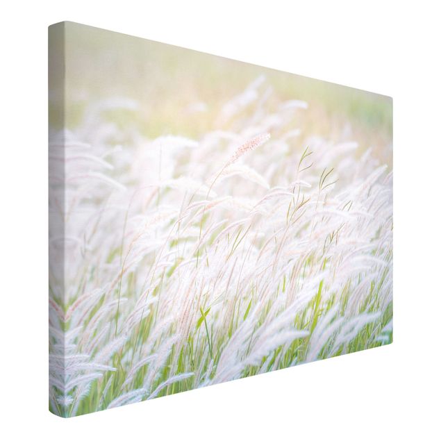 Quadros florais Soft Grasses
