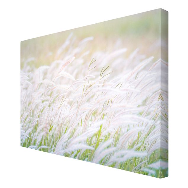 quadros para parede Soft Grasses