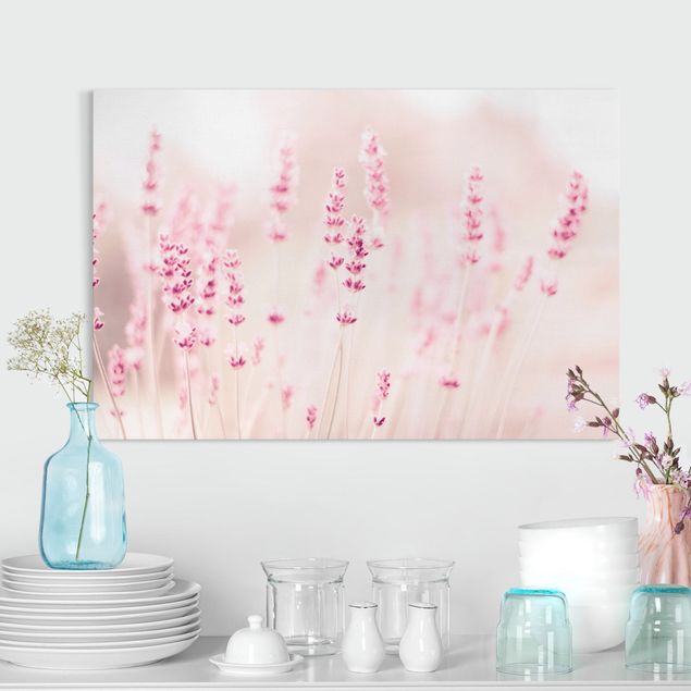 Telas decorativas gramíneas Pale Pink Lavender