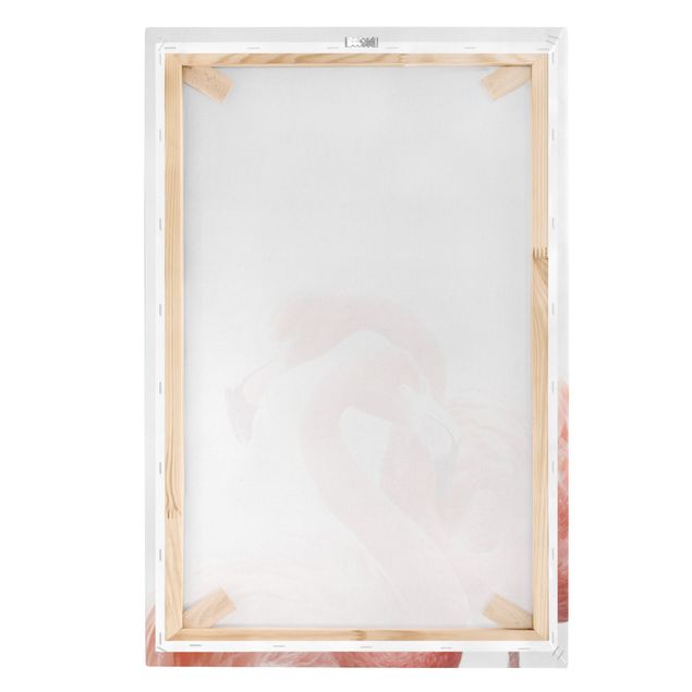 telas decorativas para paredes Two Flamingos