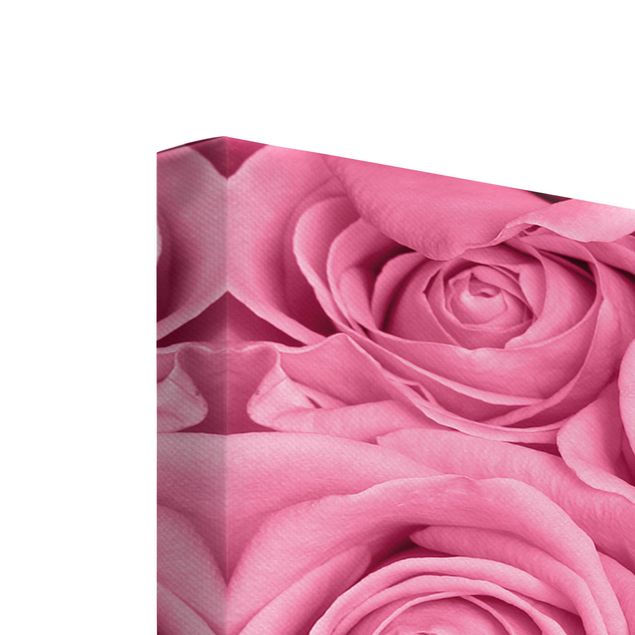 telas decorativas para paredes Pink Roses