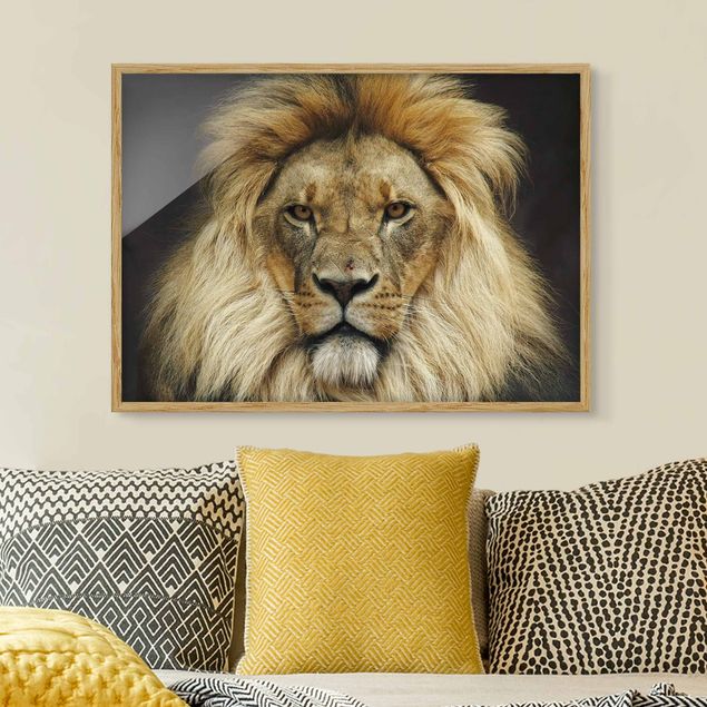 decoraçoes cozinha Wisdom Of Lion