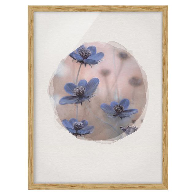 quadro com flores Water Colours - Blue Kosmeen