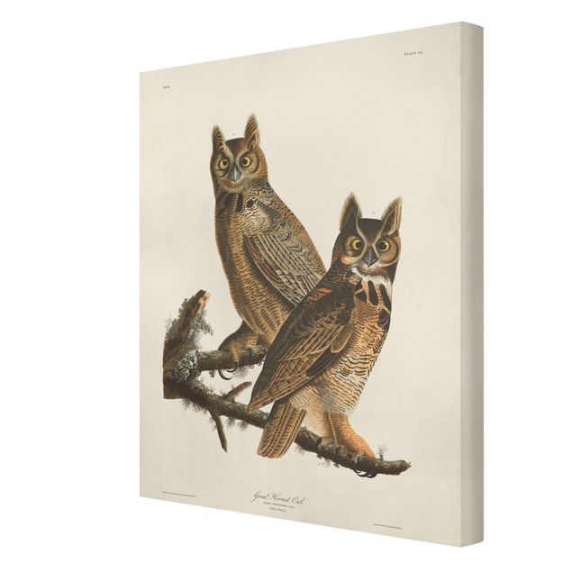 Quadros em marrom Vintage Board Two Large Owls