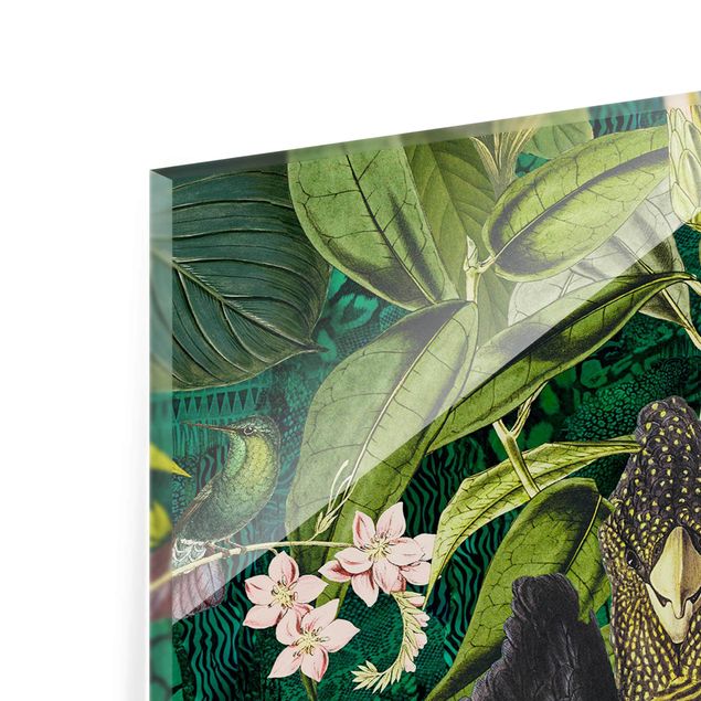 Quadros de Andrea Haase Colourful Collage - Cockatoos In The Jungle