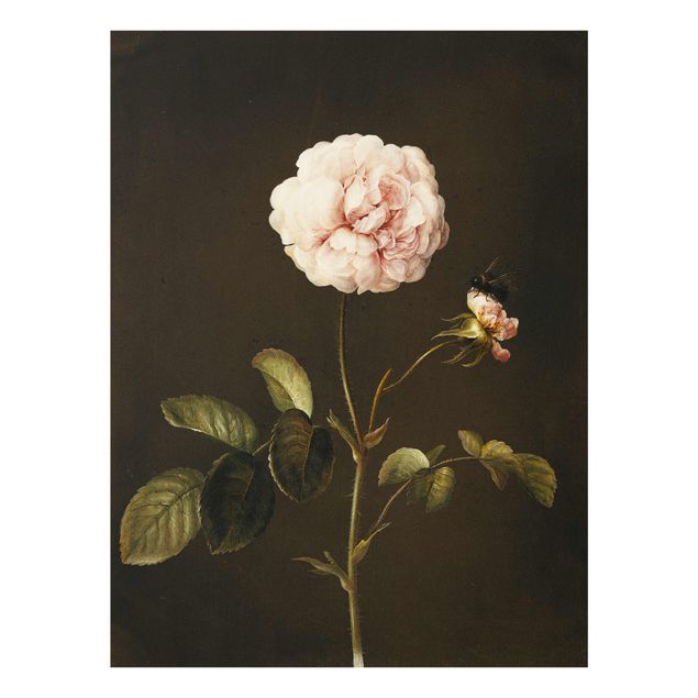 Quadros em vidro flores Barbara Regina Dietzsch - French Rose With Bumblbee