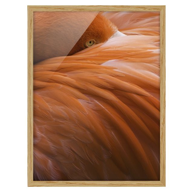 quadros decorativos para sala modernos Flamingo Feathers