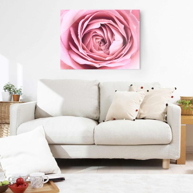 decoraçao cozinha Pink Rose Blossom