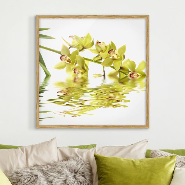 Quadros orquídeas Elegant Orchid Waters