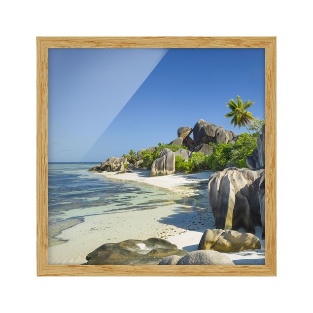 Quadros praia Dream Beach Seychelles
