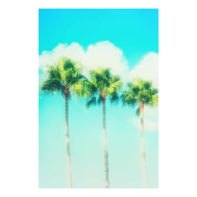 quadro com flores Palm Trees Against Blue Sky