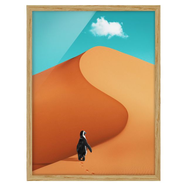 Quadros com moldura animais Desert With Penguin