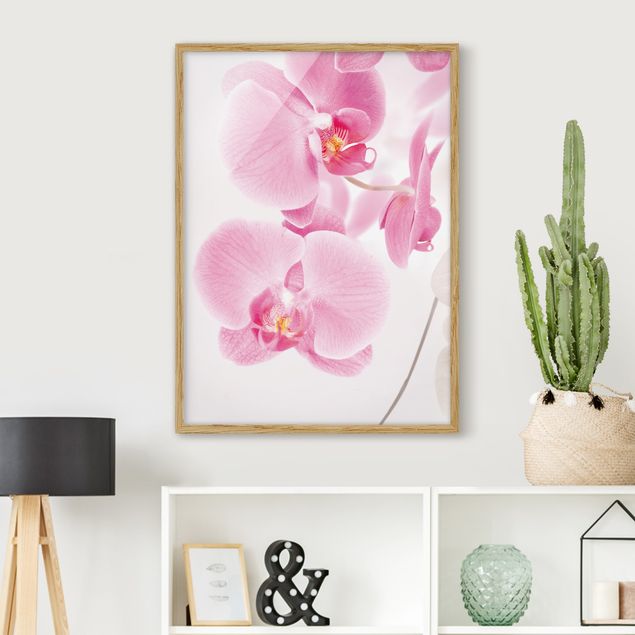 decoraçao para parede de cozinha Delicate Orchids