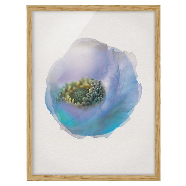 quadros flores WaterColours - Anemone On The River