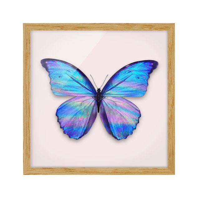 Quadros com moldura animais Holographic Butterfly