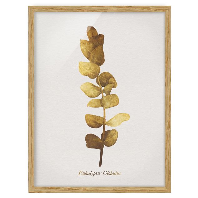 quadro com flores Gold - Eucalyptus
