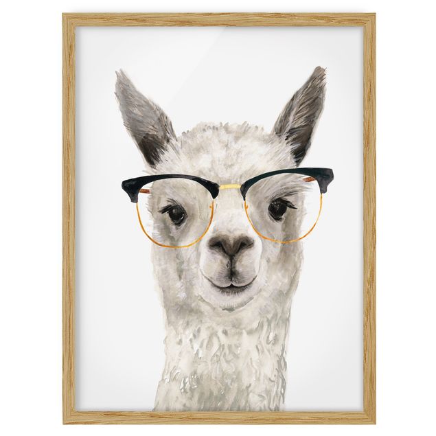 quadros decorativos para sala modernos Hip Lama With Glasses I