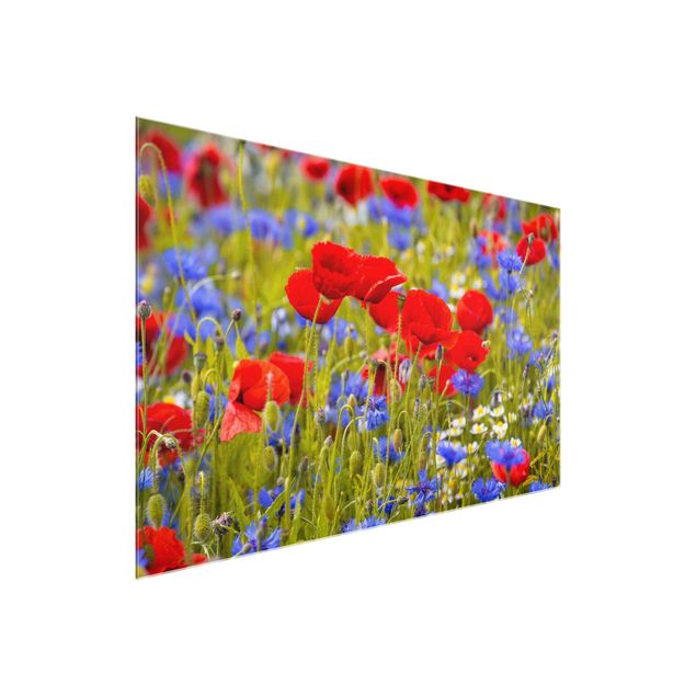 Quadros em vidro flores Summer Meadow With Poppies And Cornflowers