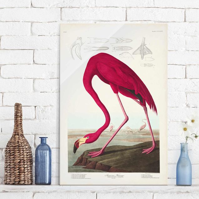 decoraçoes cozinha Vintage Board American Flamingo