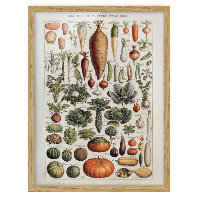 Quadros florais Vintage Board Vegetables