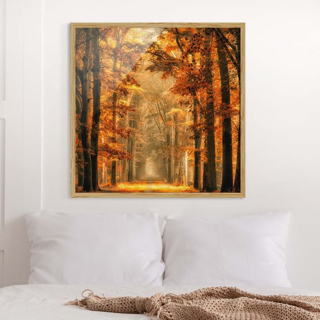 quadro com árvore Enchanted Forest In Autumn