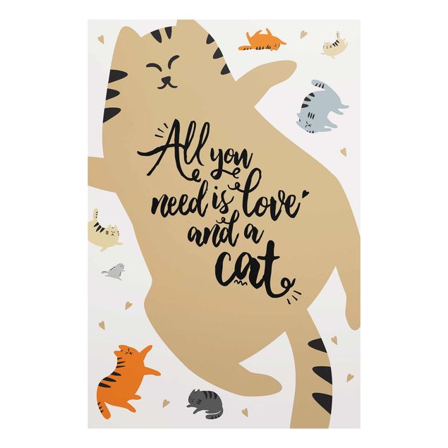 Quadros com frases All You Need Is Love And A Cat Cat Belly