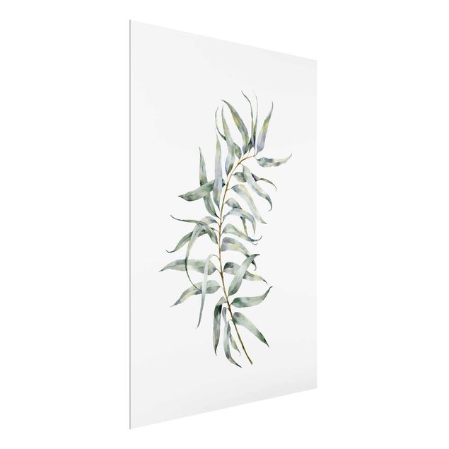 quadros de flores Waterclolour Eucalyptus lV