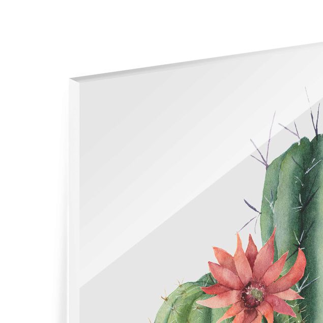 quadro em vidro Watercolour Cacti Illustration