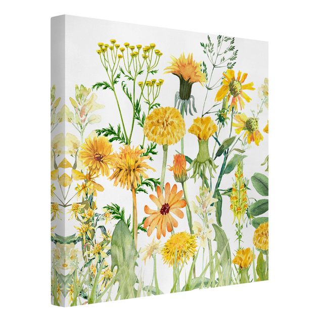 quadro com flores Watercolour Flower Meadow In Yellow