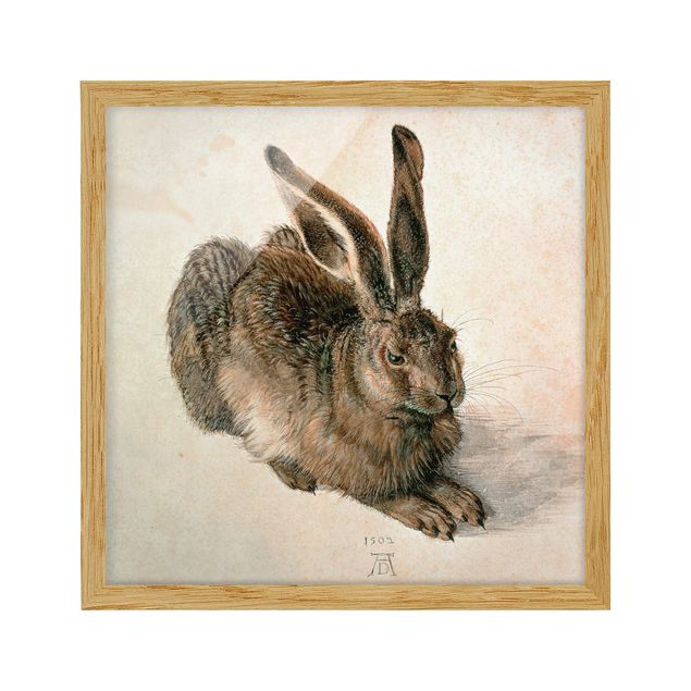 Quadros famosos Albrecht Dürer - Young Hare