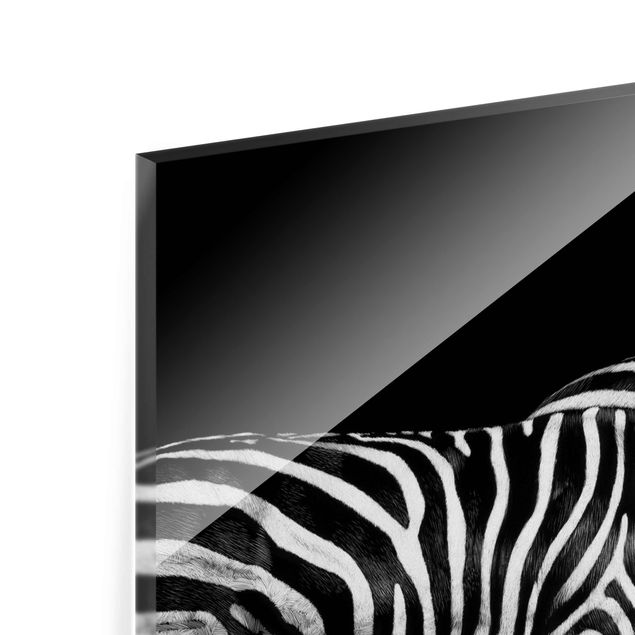 decoração quadros Zebra In The Dark