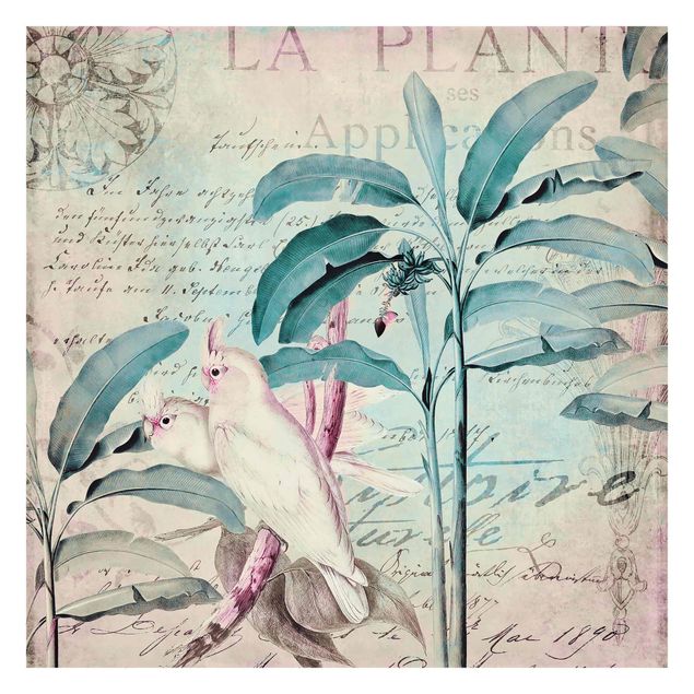 papel de parede com azul turquesa Colonial Style Collage - Cockatoos And Palm Trees