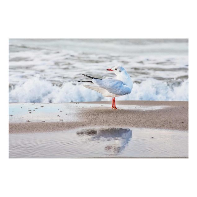 Quadros em vidro praia Seagull On The Beach In Front Of The Sea