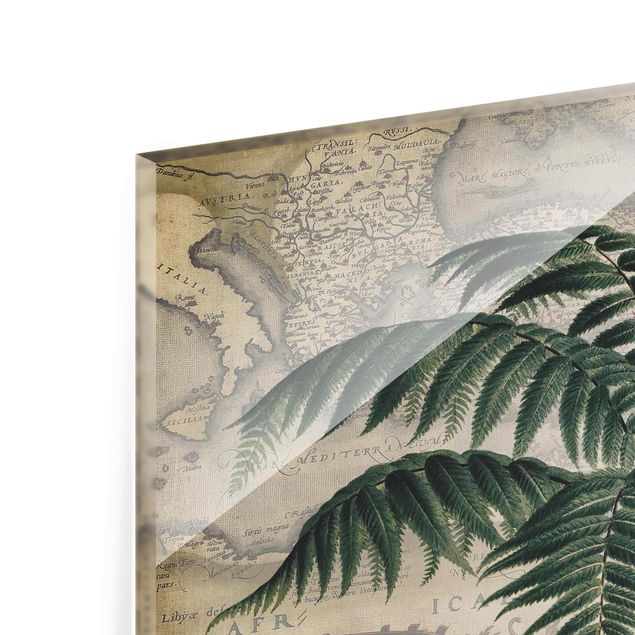 Quadros de Andrea Haase Vintage Collage - Palm And World Map