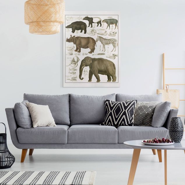 decoraçao para parede de cozinha Vintage Board Elephant, Zebra And Rhino