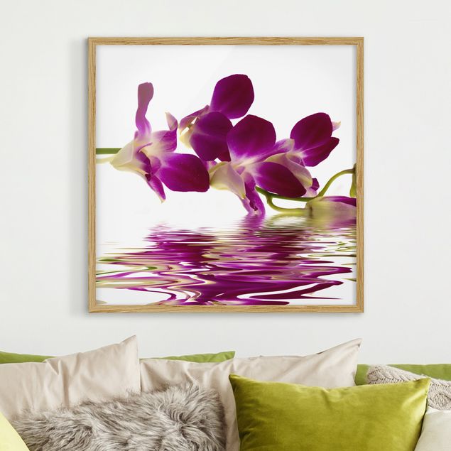 Quadros orquídeas Pink Orchid Waters