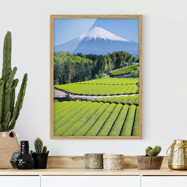 decoraçoes cozinha Tea Fields In Front Of The Fuji