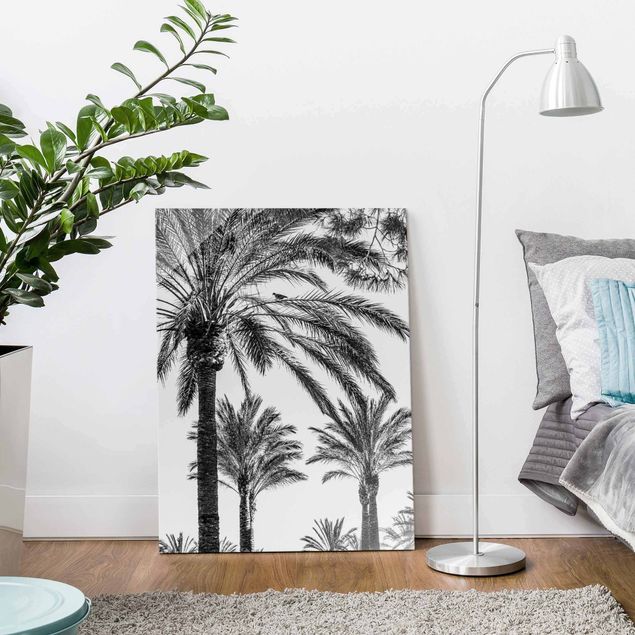 Quadros em vidro pôr-do-sol Palm Trees At Sunset Black And White