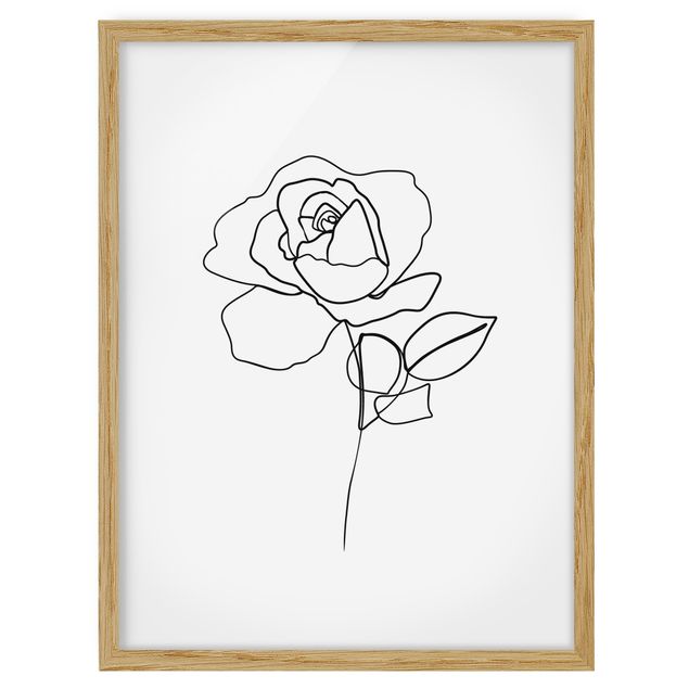 Quadros com moldura flores Line Art Rose Black White