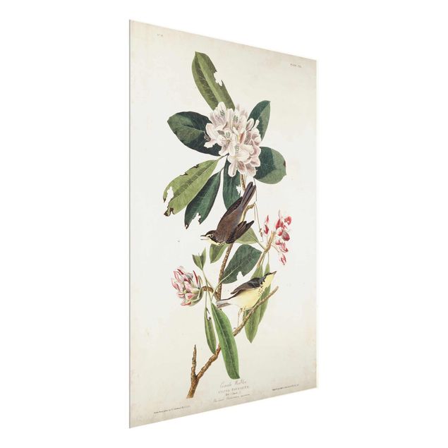 quadros de flores Vintage Board Warbler