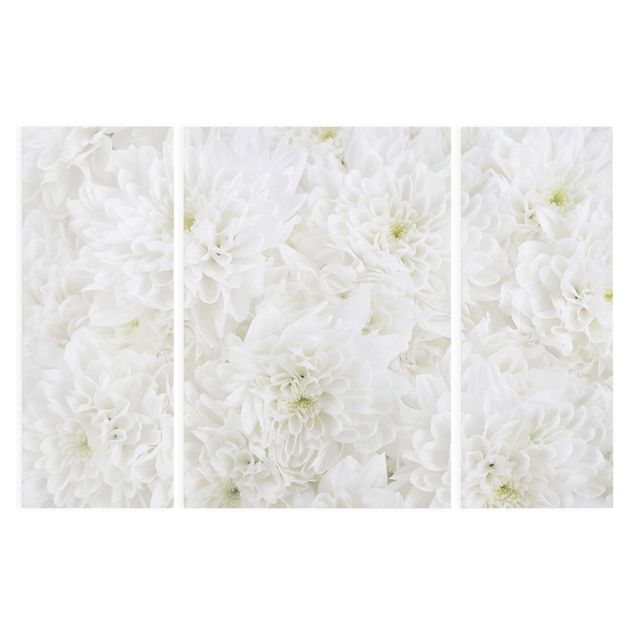 Quadros decorativos Dahlias Sea Of Flowers White