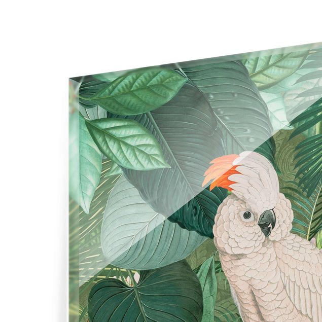 Quadros decorativos Vintage Collage - Kakadu And Hummingbird